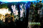 【純玩拼團線路6】張家界、黃龍洞、天門山、天子山三晚四日游